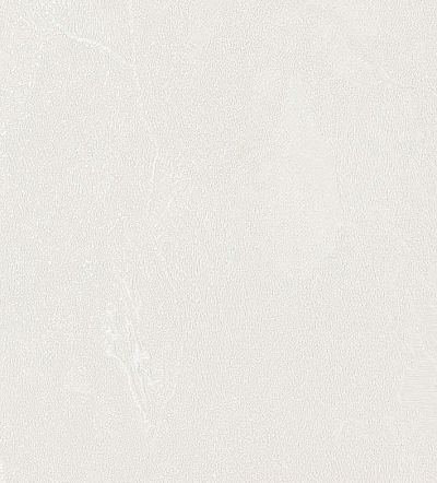 Обои 84284-1, Gaga, Bernardo Bartalucci