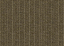 Обои в тропическом стиле Zambaiti Architexture 2 Z57719