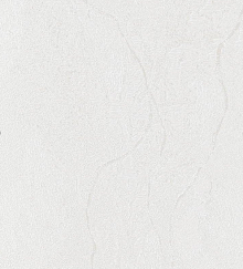 Обои для прихожей (коридора) Bernardo Bartalucci Gaga  84284-10